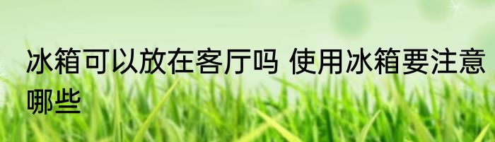冰箱可以放在客厅吗 使用冰箱要注意哪些