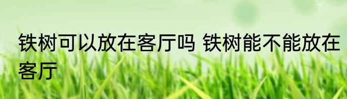 铁树可以放在客厅吗 铁树能不能放在客厅