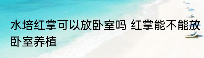 水培红掌可以放卧室吗 红掌能不能放卧室养植
