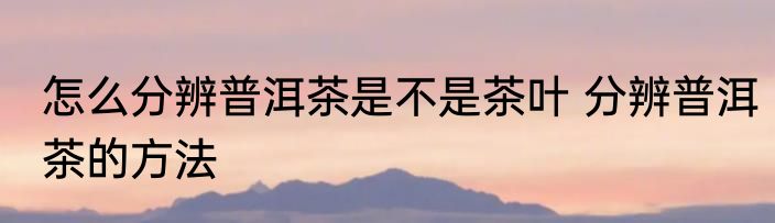 怎么分辨普洱茶是不是茶叶 分辨普洱茶的方法
