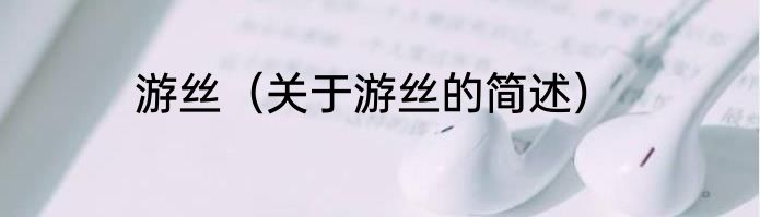 游丝（关于游丝的简述）