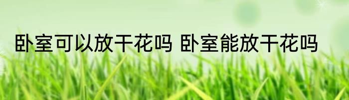 卧室可以放干花吗 卧室能放干花吗