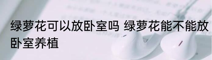 绿萝花可以放卧室吗 绿萝花能不能放卧室养植