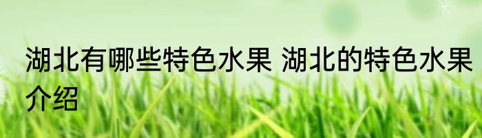 湖北有哪些特色水果 湖北的特色水果介绍