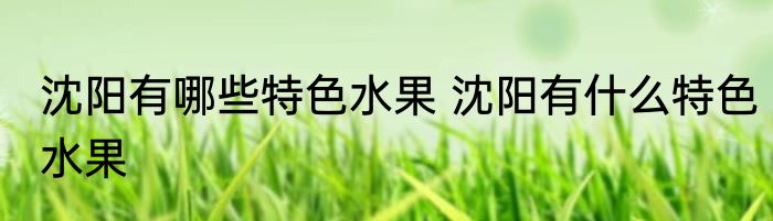 沈阳有哪些特色水果 沈阳有什么特色水果