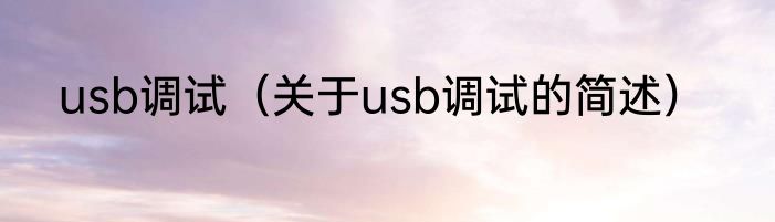 usb调试（关于usb调试的简述）