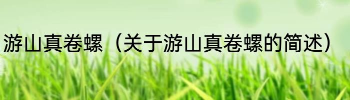 游山真卷螺（关于游山真卷螺的简述）