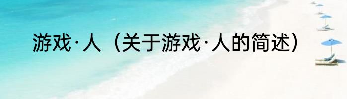 游戏·人（关于游戏·人的简述）