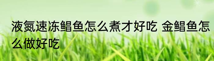 液氮速冻鲳鱼怎么煮才好吃 金鲳鱼怎么做好吃