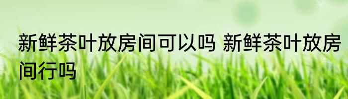 新鲜茶叶放房间可以吗 新鲜茶叶放房间行吗