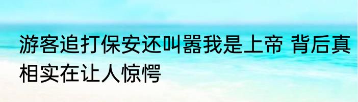 游客追打保安还叫嚣我是上帝 背后真相实在让人惊愕