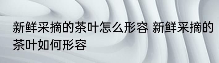新鲜采摘的茶叶怎么形容 新鲜采摘的茶叶如何形容