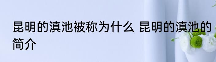 昆明的滇池被称为什么 昆明的滇池的简介
