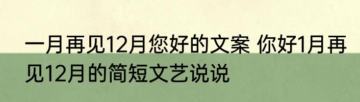 一月再见12月您好的文案 你好1月再见12月的简短文艺说说