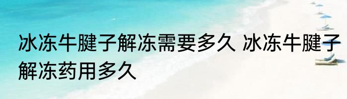 冰冻牛腱子解冻需要多久 冰冻牛腱子解冻药用多久
