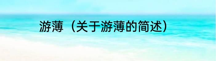 游薄（关于游薄的简述）
