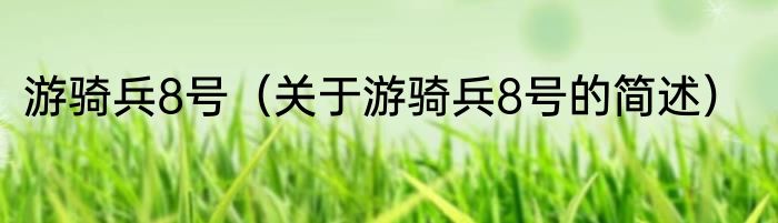 游骑兵8号（关于游骑兵8号的简述）