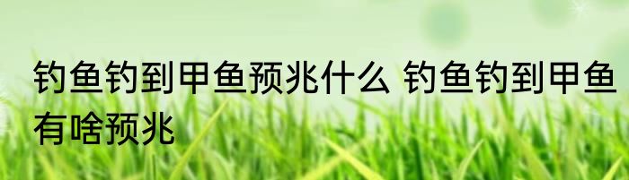 钓鱼钓到甲鱼预兆什么 钓鱼钓到甲鱼有啥预兆