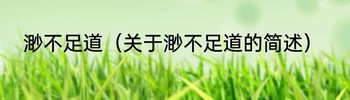 渺不足道（关于渺不足道的简述）
