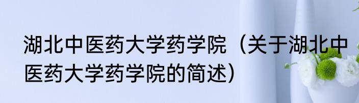 人寰（关于人寰的简述）