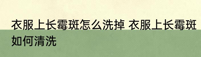 衣服上长霉斑怎么洗掉 衣服上长霉斑如何清洗