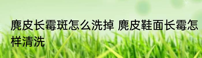 麂皮长霉斑怎么洗掉 麂皮鞋面长霉怎样清洗