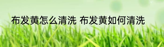 布发黄怎么清洗 布发黄如何清洗