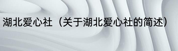 湖北爱心社（关于湖北爱心社的简述）