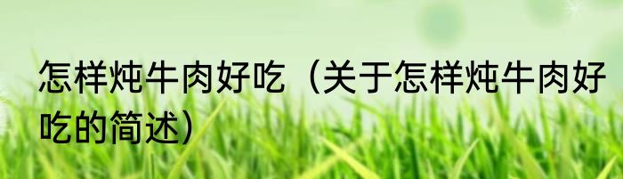 怎样炖牛肉好吃（关于怎样炖牛肉好吃的简述）