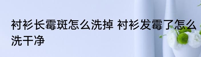 衬衫长霉斑怎么洗掉 衬衫发霉了怎么洗干净