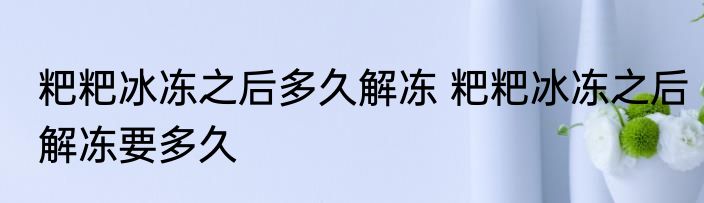 粑粑冰冻之后多久解冻 粑粑冰冻之后解冻要多久
