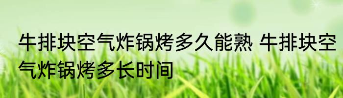 牛排块空气炸锅烤多久能熟 牛排块空气炸锅烤多长时间