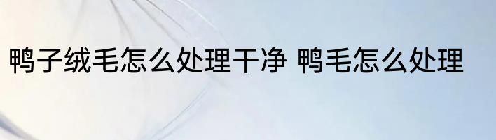 鸭子绒毛怎么处理干净 鸭毛怎么处理