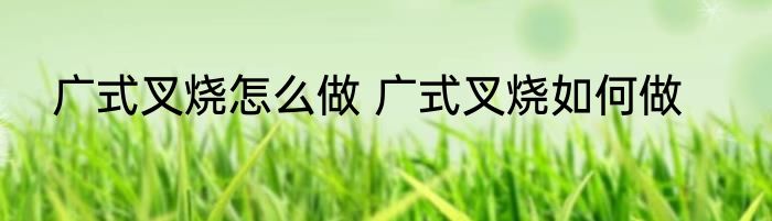 广式叉烧怎么做 广式叉烧如何做