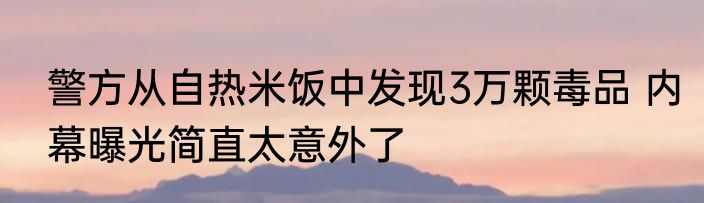 警方从自热米饭中发现3万颗毒品 内幕曝光简直太意外了