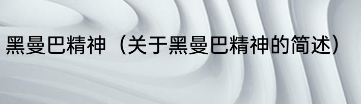 黑曼巴精神（关于黑曼巴精神的简述）