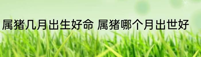 属猪几月出生好命 属猪哪个月出世好