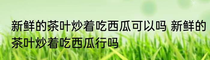 新鲜的茶叶炒着吃西瓜可以吗 新鲜的茶叶炒着吃西瓜行吗