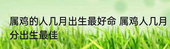 属鸡的人几月出生最好命 属鸡人几月分出生最佳
