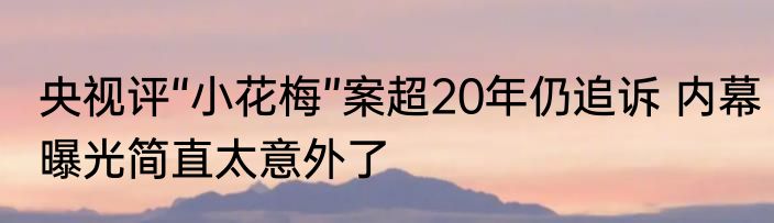 央视评“小花梅”案超20年仍追诉 内幕曝光简直太意外了