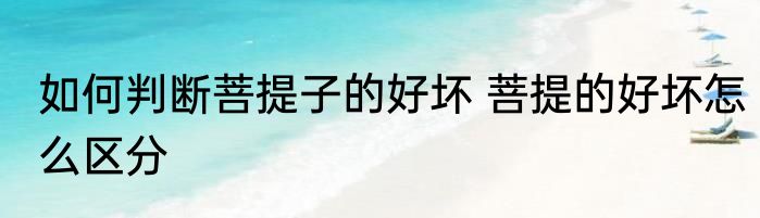 如何判断菩提子的好坏 菩提的好坏怎么区分