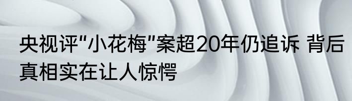 央视评“小花梅”案超20年仍追诉 背后真相实在让人惊愕