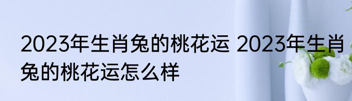 2023年生肖兔的桃花运 2023年生肖兔的桃花运怎么样
