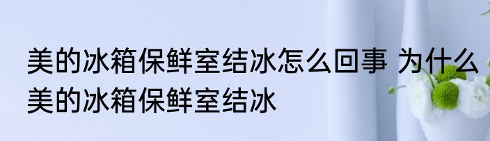 美的冰箱保鲜室结冰怎么回事 为什么美的冰箱保鲜室结冰
