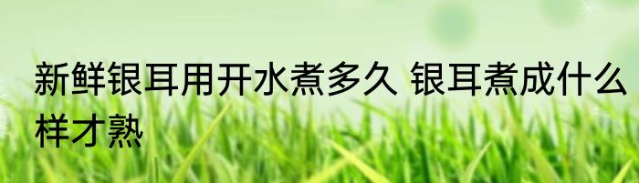 新鲜银耳用开水煮多久 银耳煮成什么样才熟