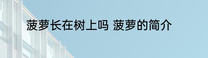 菠萝长在树上吗 菠萝的简介