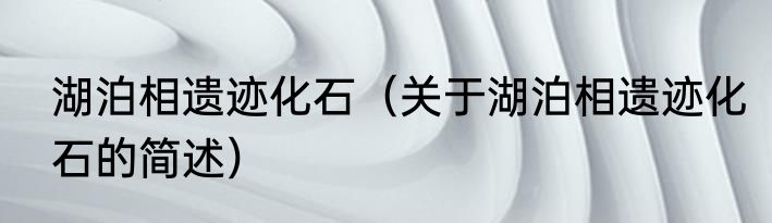 湖泊生态系统（关于湖泊生态系统的简述）