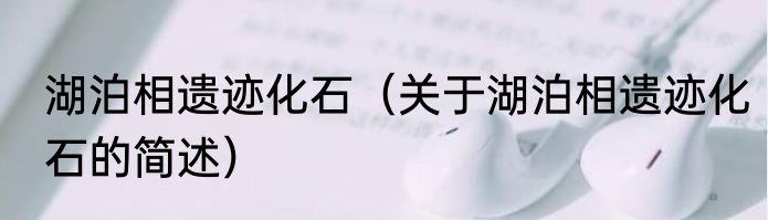 湖泊相遗迹化石（关于湖泊相遗迹化石的简述）