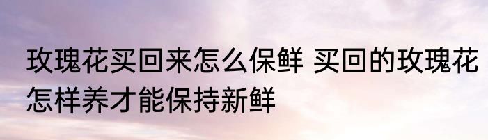 玫瑰花买回来怎么保鲜 买回的玫瑰花怎样养才能保持新鲜