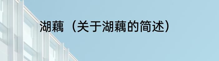 湖藕（关于湖藕的简述）